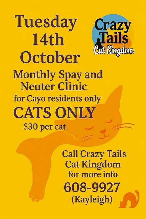 Crazy Tail Clinic 14-Oct-25 | Cayo Scoop!  The Ecology of Cayo Culture | Scoop.it