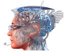 BioDigital Human: Explore the Body in 3D! | Educación y TIC | Scoop.it
