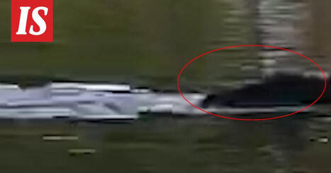 Lukijan video: Karhu ui Jessen veneen ohi uistelureissulla. | 1Uutiset - Lukemisen tähden | Scoop.it