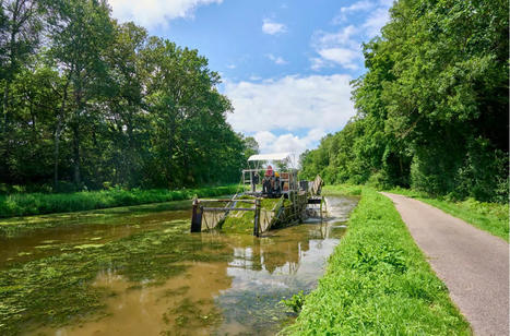 Assises nationales Plantes Exotiques Envahissantes - Voies navigables de France | Biodiversité | Scoop.it