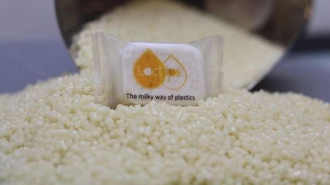 Lactips lance sa production de plastique à base de protéine de lait en mars | Lait de Normandie... et d'ailleurs | Scoop.it