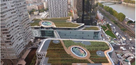 Une charte pour v&eacute;g&eacute;taliser 100 hectares de toits et murs &agrave; Paris | Nature en ville | Scoop.it