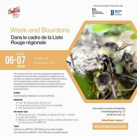 Week-end "bourdons" dans le cadre de la Liste Rouge r&eacute;gionale - 06-07/06/2026 | Vari&eacute;t&eacute;s entomologiques | Scoop.it