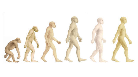 Uusi teoria: Nykyihmisen edeltäjä Homo erectus taisi merenkulun ja osasi puhua | Yle Uutiset | yle.fi | 1Uutiset - Lukemisen tähden | Scoop.it