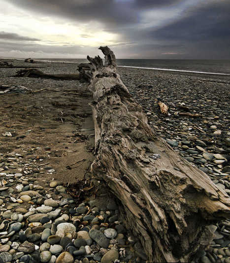 Driftwood Sans Drift por Peter Kurdulija  | My Photo | Scoop.it