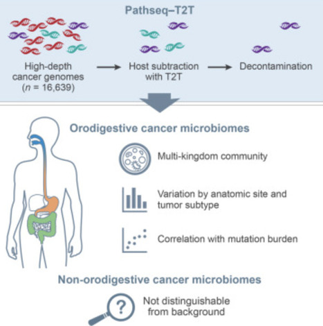 Biodiversity and biogeography of the multi-kingdom cancer microbiome | CEL | RMH | Scoop.it