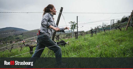 Contre le sexisme dans les champs, les paysannes s’organisent en collectif | Alsace Actu | Scoop.it