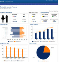 Pourquoi votre organisation a-t-elle besoin de « workforce analytics »? | Mesurer le Capital Humain | Scoop.it