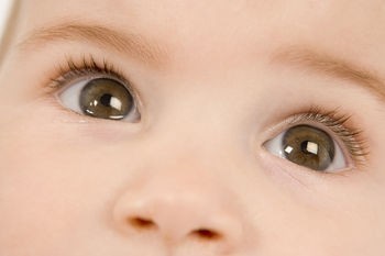 Free Vision Screenings and Follow-Up: FocusFirst // Healthier Kids Foundation Santa Clara County | Community Connections: Events and Resources To Support Youth Development | Scoop.it