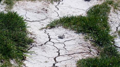 S&eacute;cheresse : apr&egrave;s un an d&rsquo;alerte et de vigilance, l&rsquo;arr&ecirc;t&eacute; lev&eacute; dans le Nord | Actu environnement en HdF | Scoop.it