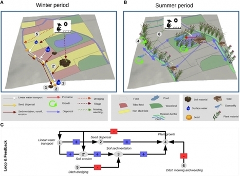 INRA - Une grille de lecture partagée  des paysages agricoles pour les scientifiques travaillant sur les services écosystémiques | EntomoNews | Scoop.it