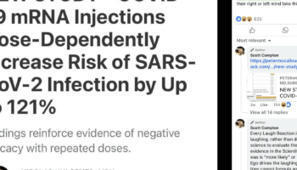 "Nicolas Hulscher" - Science Feedback | Jocelyn M. | Hésitations Vaccinales: Observatoire HESIVAXs | Scoop.it