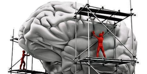 Les limites du cerveau humain... | Médecine  Cerveau Intelligence | Scoop.it