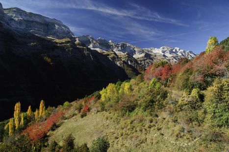 Nueva edición del Otoño Geológico en Sobrarbe :  Pineta - Lalarri le 13 octobre | Vallées d'Aure & Louron - Pyrénées | Scoop.it
