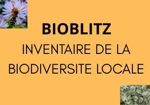 Participez &agrave; Bioblitz, inventaire de la biodiversit&eacute; locale | Life Sciences Universit&eacute; Paris-Saclay | Scoop.it