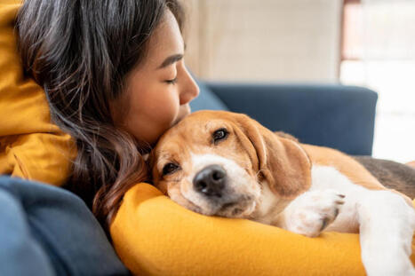 Voici pourquoi vous ressemblez sans doute &agrave; votre chien selon des chercheurs | @ZeHub | Scoop.it