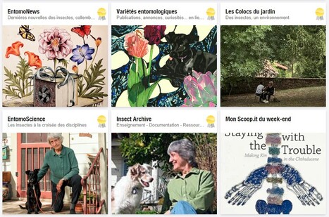 Partage de la curation de contenu de ce jour sur EntomoNews et al. | Mon Scoop.it du week-end | Scoop.it