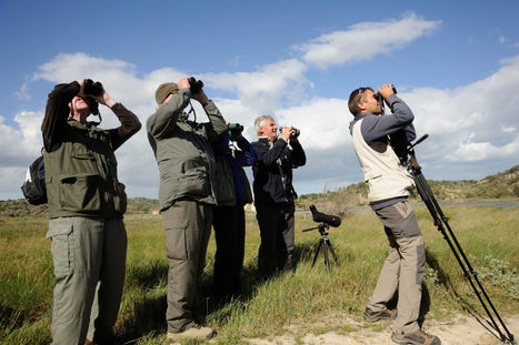 Une appli num&eacute;rique pour observer les oiseaux | Biodiversit&eacute; | Scoop.it