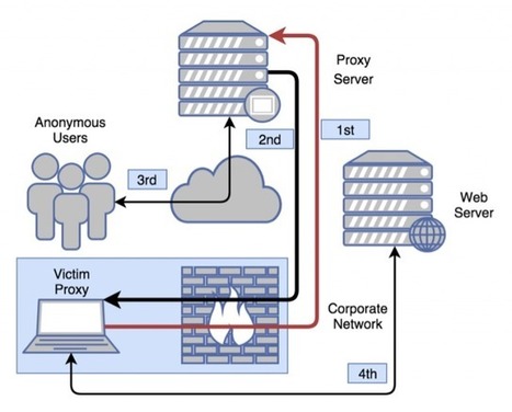 New malware sets up anonymous proxies on infected PCs | CyberSecurity | ICT Security-Sécurité PC et Internet | Scoop.it