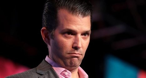 Donald Trump Jr. fears his father will lose — and the Trump family will be prosecuted: report – Raw Story | Agents of Behemoth | Scoop.it