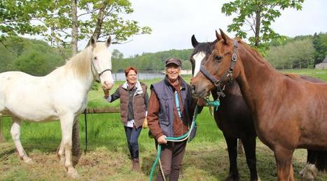 Randonn&eacute;e &eacute;questre: c'est parti pour la Trans Ille-et-Vilaine | Cheval et Nature | Scoop.it
