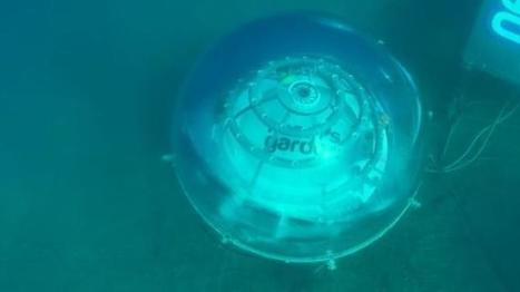 Agriculture : un jardin sous la mer | INNOVATIONS | Scoop.it