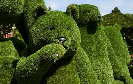 19 inspirational, touching and funny Chelsea Flower Show pictures | Human Interest | Scoop.it