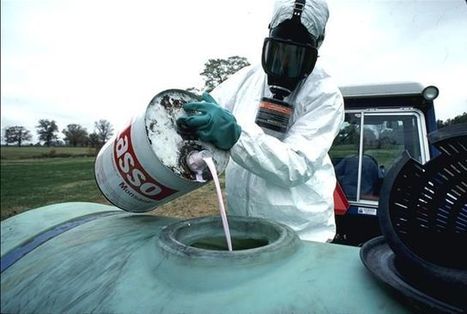Le trafic des pesticides interdits est en plein boom | Toxique, soyons vigilant ! | Scoop.it