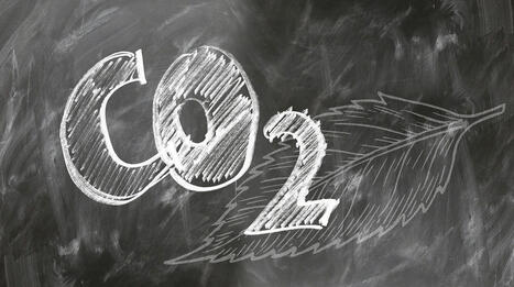 Responsabilité et pollution atmosphérique : le réveil de la belle au bois dormant [mise à jour au 14/03/25] – | Regards croisés sur la transition écologique | Scoop.it