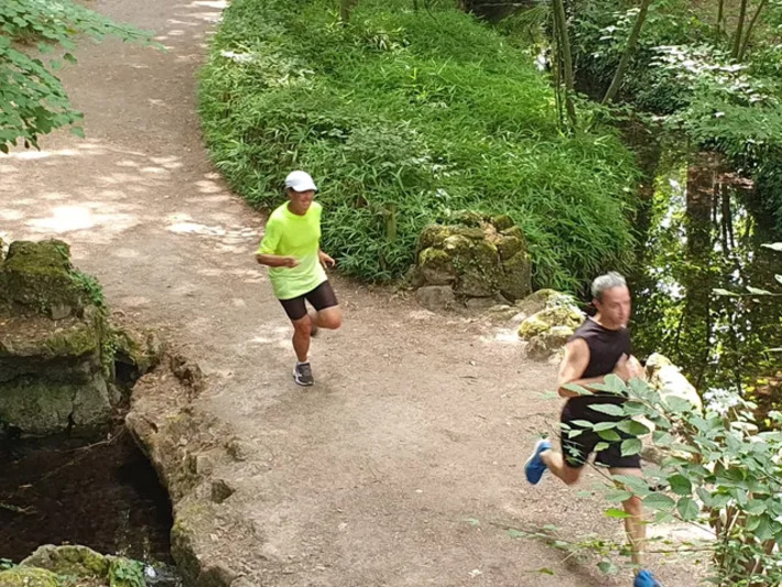 Le parc de l&rsquo;Orangerie de Strasbourg parmi les meilleurs endroits de France pour courir | Th&eacute;matique Itin&eacute;rance douce | Scoop.it