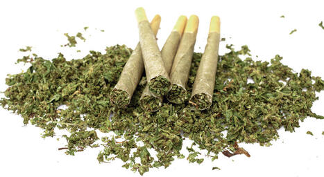 Consumo de drogas il&iacute;citas cresceu cerca de 80% no Brasil de 2012 a 2023 | Inova&ccedil;&atilde;o Educacional | Scoop.it