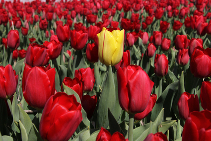 Tricks To Command a Room When You&rsquo;re Not a Natural Born Leader | Student Leadership | Scoop.it