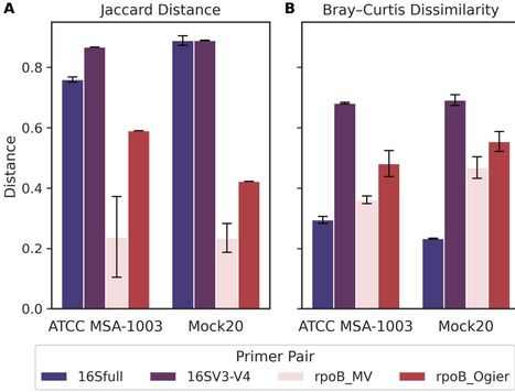 A novel long-amplicon rpoB primer pair for high resolution microbiome analysis at the species-level | brvm | RMH | Scoop.it