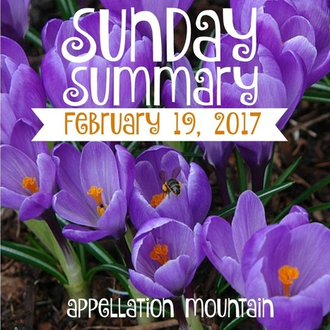 Sunday Summary: 8/2017 - Appellation Mountain | Name News | Scoop.it