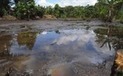 Ecologie : la fin du monde expliquée aux politiques | Planète, Nature et Biodiversité | Scoop.it