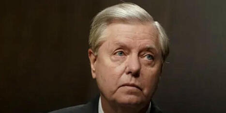 'Duplicitous slime-ball!' Lindsey Graham hit with scorn after praising Joe Biden - Raw Story | Backstabber Watch | Scoop.it
