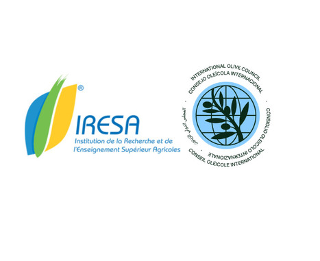 IOC and IRESA strengthen cooperation in olive research and training | OLIVE NEWS | Scoop.it