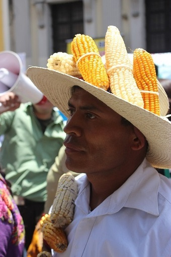 Mayan People’s Movement Defeats Monsanto Law in Guatemala | real utopias | Scoop.it