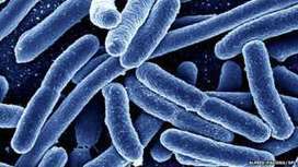 Superbugs to kill 'more than cancer' by 2050 - BBC News | non toxic choices | Scoop.it