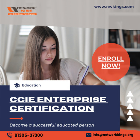 Best CCIE Course - Cisco Certified Internetwork Expert | Learn courses CCNA, CCNP, CCIE, CEH, AWS. Directly from Engineers, Network Kings is an online training platform by Engineers for Engineers. | Scoop.it