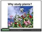 Here is a free resource from The Plant Cell and Teaching Tools in Plant Biology - Why Study Plants? | Plant Biology Teaching Resources (Higher Education) | Scoop.it