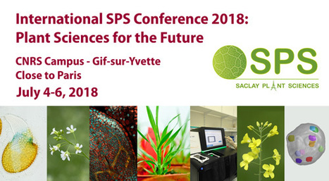 Workshop: Modeling the plant from gene to the whole plant, recent progresses and challenges  July 3, (satellite to the International SPS Conference 2018) deadline 7 of June | Life Sciences Université Paris-Saclay | Scoop.it