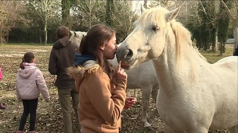 Le tourisme de développement durable en Camargue, c'est découvrir un territoire loin des clichés | Ecotourisme | Scoop.it