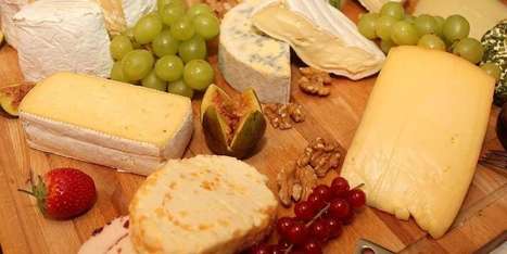 Aromatisé, impérissable, curatif : le fromage de demain se prépare en laboratoire | Actualités de l'élevage | Scoop.it
