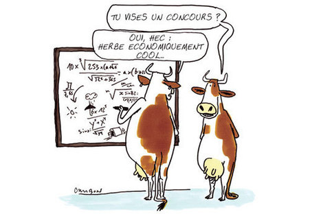 L'herbe ça se cultive... naturellement - Herb'actifs n°9 - GNIS | Graines de doc | Scoop.it