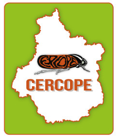 L'association CERCOPE | Au fil des Associations | Scoop.it