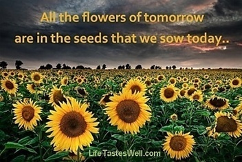All the flowers of tomorow are in the seeds we 