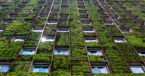 Cette étude prouve l’utilité des murs végétaux pour mieux isoler les bâtiments | Build Green, pour un habitat écologique | Scoop.it