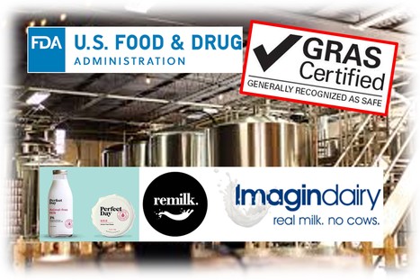Fermentation de précision : Imagindairy devient la 3ème entreprise à satisfaire aux exigences de sécurité de la FDA | Lait de Normandie... et d'ailleurs | Scoop.it