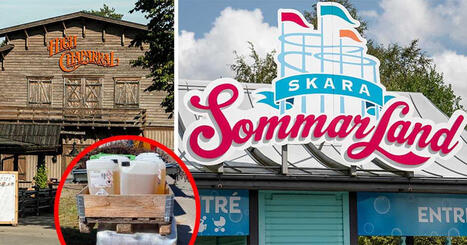 Snusket p&aring; sommarlanden: Kr&auml;kutbrott och flugsv&auml;rmar | Lehti | Scoop.it